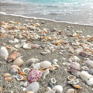 Meet your Posher, Luana